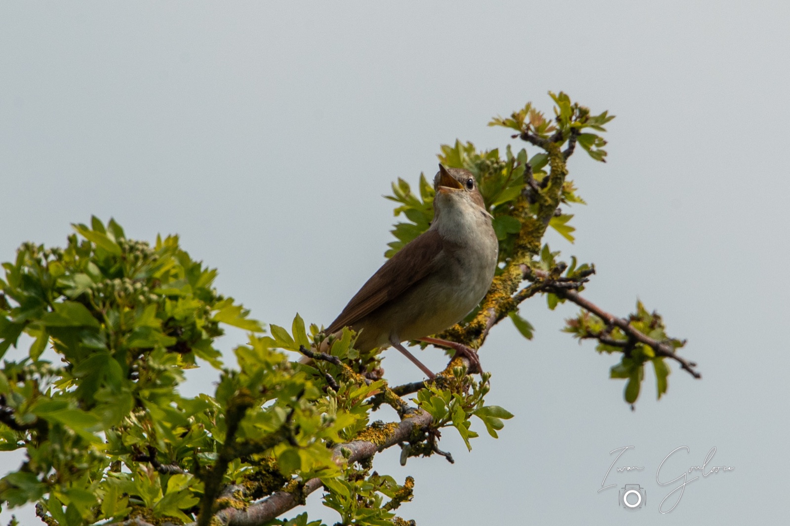 07 mei 2022 152510 1DX42283